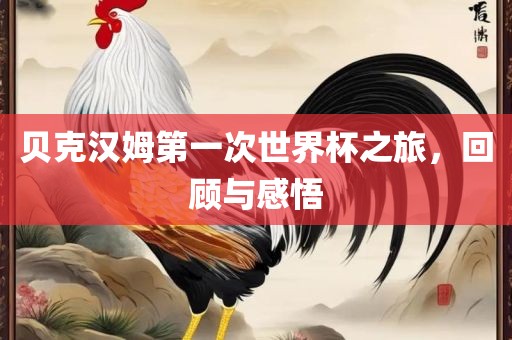 贝克汉姆第一次世界杯之旅，回顾与感悟