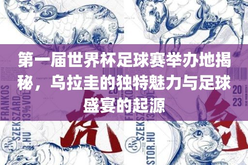 第一届世界杯足球赛举办地揭秘，乌拉圭的独特魅力与足球盛宴的起源