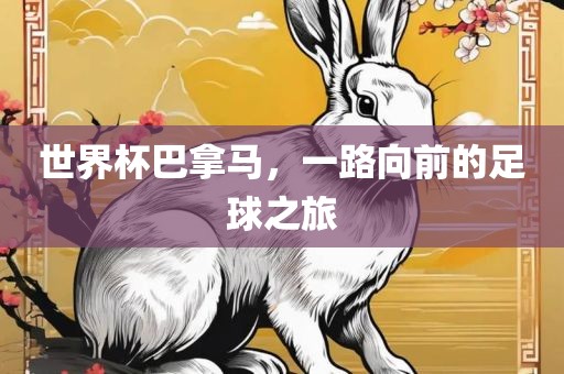 世界杯巴拿马，一路向前的足球之旅