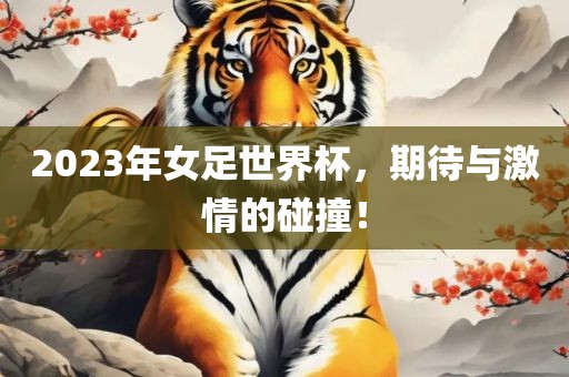 2023年女足世界杯，期待与激情的碰撞！