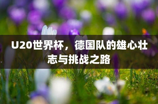U20世界杯，德国队的雄心壮志与挑战之路
