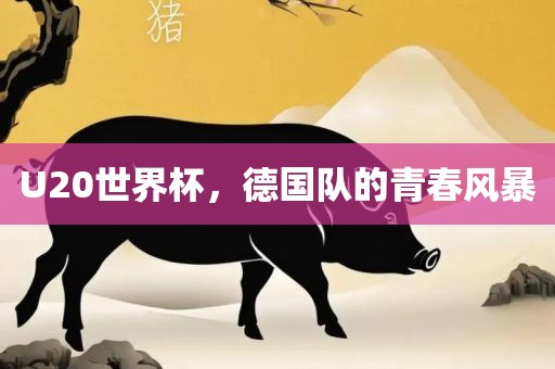 U20世界杯，德国队的青春风暴
