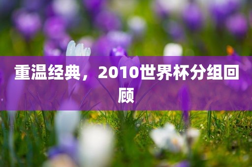 重温经典，2010世界杯分组回顾洛阳市法福文化传播有限公司