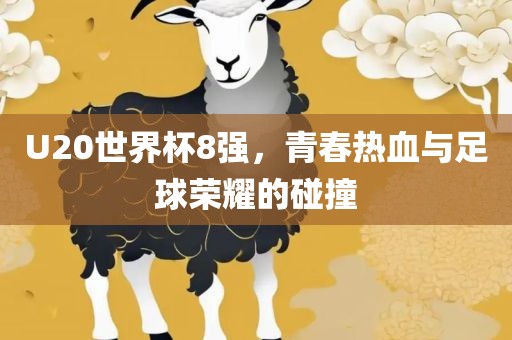 U20世界杯8强，青春热血与足球荣耀的碰撞