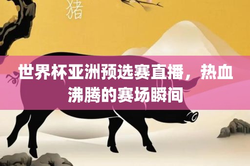 世界杯亚洲预选赛直播，热血沸腾的赛场瞬间