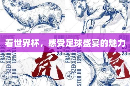 看世界杯，感受足球盛宴的魅力