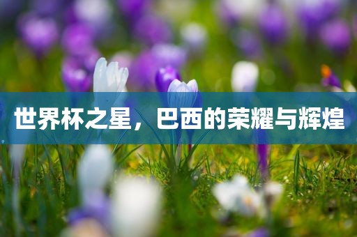 世界杯之星，巴西的荣耀与辉煌