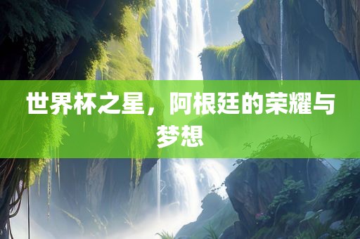 世界杯之星，阿根廷的荣耀与梦想
