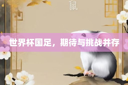 世界杯国足，期待与挑战并存
