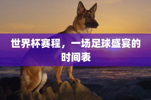 世界杯赛程，一场足球盛宴的时间表