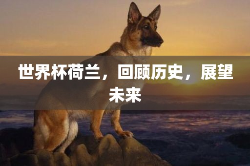 世界杯荷兰，回顾历史，展望未来