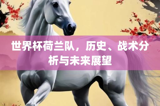 世界杯荷兰队，历史、战术分析与未来展望