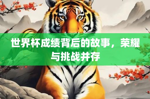 世界杯成绩背后的故事，荣耀与挑战并存