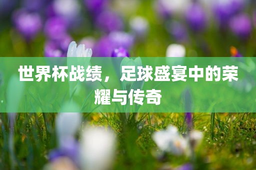 洛阳市法福文化传播有限公司世界杯战绩，足球盛宴中的荣耀与传奇
