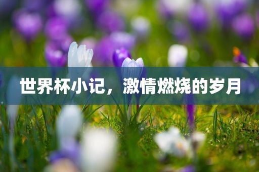 世界杯小记，激情燃烧的岁月