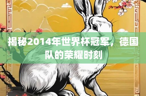 揭秘2014年世界杯冠军，德国队的荣耀时刻